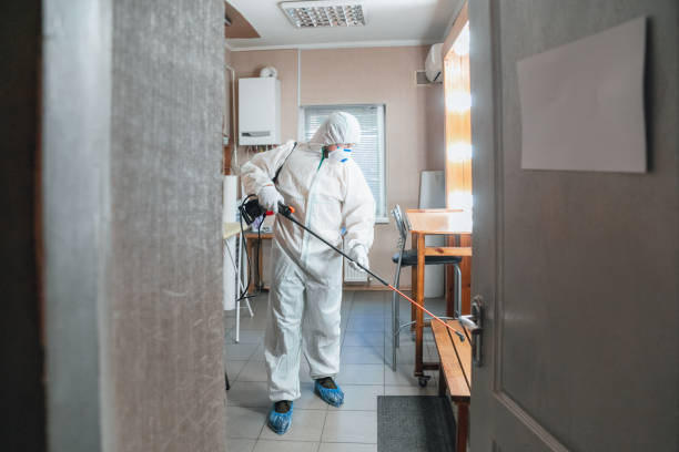 Best Black Mold Removal  in Riverton, NJ